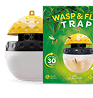 Image wasp fly trap