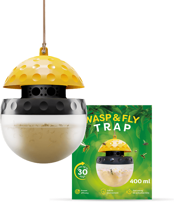 Pułapka na muszki owocówki - zdjęcie produktu