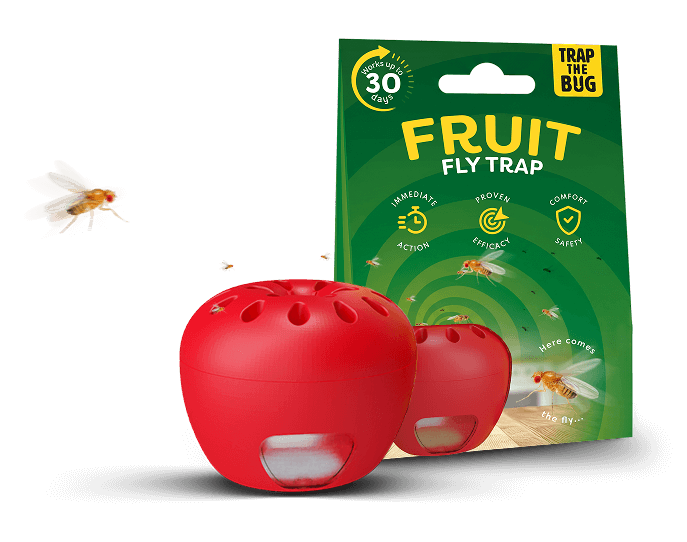 Pułapka na muszki owocówki - zdjęcie produktu