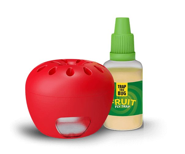Fruit Fly Trap